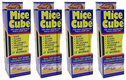 Mice Cube Reusable Humane Mouse Trap 4 Pack Buy Mice Cube Reusable Humane Mouse Trap 4 Pack from Amazon.in!