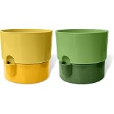 ToXA Dora Saksı Tabaklı &Ccedil;i&ccedil;ek Kakt&uuml;s Saksısı Parlak Plastik Saksı (2 Adet, Sarı&amp;Yeşil, 2L, 16cm)