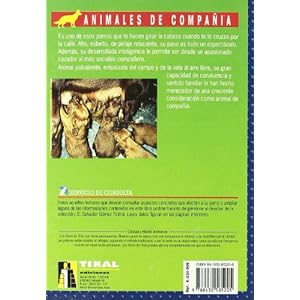 El Nuevo Libro de Los Setters Irlandeses