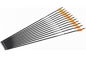 ELONG OUTDOOR 28 30 31Inch Carbon Arrow Archery Hunting Targeting Arrows with 100 Grain Removable Tips for Archery Compound & Recurve Bow & Traditional Bow Target Practice Shooting