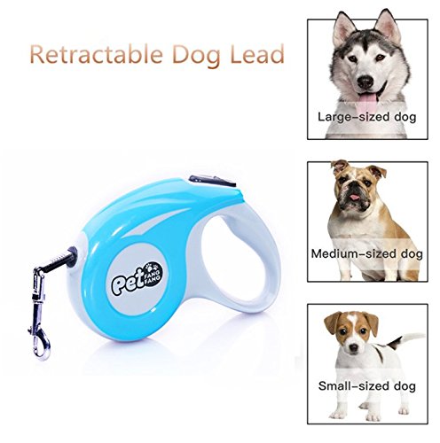 Vicstar-5-Meters-Laisse-Pour-Chien-Rtractable-Chien-Laisse--Enrouleur-pour-Moyen-ou-Grand-Chien-Chiot-en-Promenade-5-Mtres