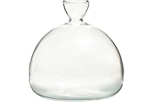 YAZTAUHO Vase À Culture Avocat, Vase De Démarrage De D'avocat, Pot De Germes De g-raines Transparent En Verre, Vase De Hydroponique, Vase De p-lantes À g-raines De Fleurs, Cadeau Pour Les Amateurs De Jardinage