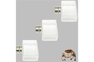 Heyshapeing 3er-Pack transparente Springspinnen-Futternäpfe – winzige Futter- und Wassernäpfe für springende Spinnen, Vogelspinnen und andere kleine Haustiere