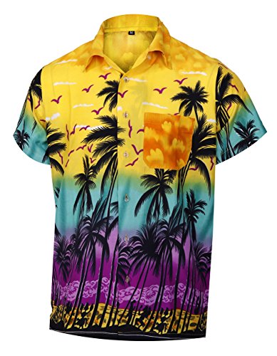Virgin Crafts Chemise hawaïenne pour Hommes de