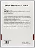 Image de Lo sviluppo del sistema nervoso