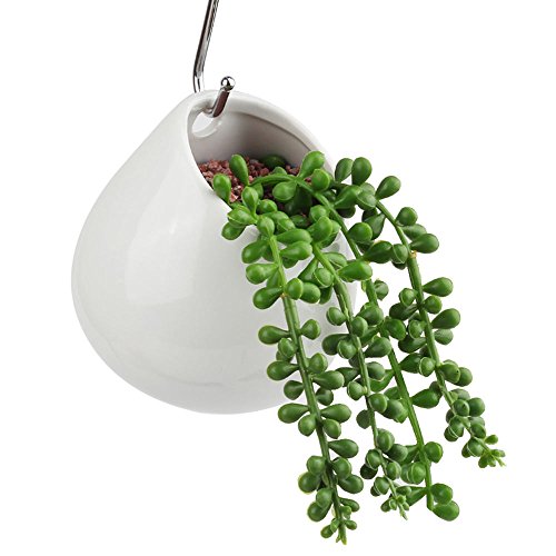 innoter wandhängende Sukkulente Übertopf für Outdoor Garten Terrasse Sukkulente, Übertopf Topf, Mini weiß rund Keramik Hydrokultur wandhängende Pflanztopf - 7