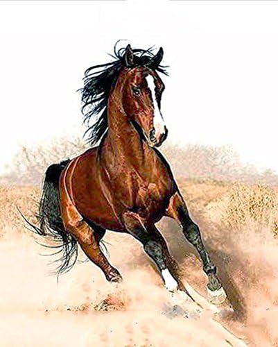 Frameless DIY Figure Oil Painting Paint by Number Kit for Adults and Kids - War Horse