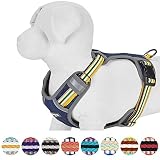 Blueberry Pet Soft & Comfy 3M Reflective Multi-colored Stripe Padded Dog Harness Vest, Chest Girth 45cm-54cm, Neck 37cm-52cm, Yellow & Green, Small, Mesh Harnesses for Dogs