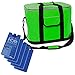 Produktbild XXL Kühltasche 30 Liter inklusive 5 Marken Kühlakkus Kühlbox Thermotasche Isoliertasche Camping Picknick 42x26x34cm Grün