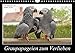 Graupapageien zum Verlieben (Wandkalender 2017 DIN A4 quer): Lebendige Fotos von wunderschönen Graupapageien (Monatskalender, 14 Seiten ) (CALVENDO Tiere) by 