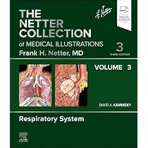 Buy The Netter Collection Of Medical Illustrations: Respiratory