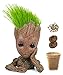 Produktbild Set pflanzen : Lass Baby Groots Haare wachsen | Ökologisches Lernspiel mit Blumentopfpflanze und Cartoon Figur | Kinder Geschenkidee | Mädchen Junge | Geburtstag | Weihnachten | Fertiges Aufzuchtsset