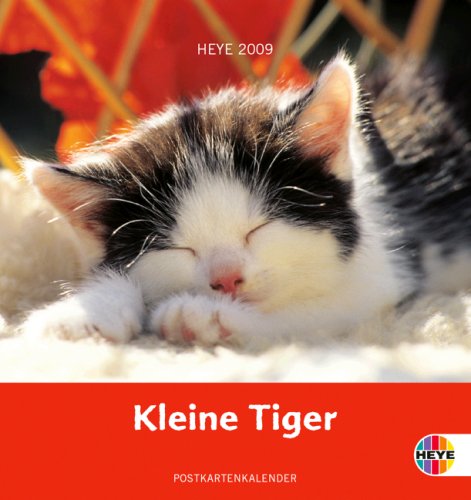 Katzen Postkartenkalender 2009