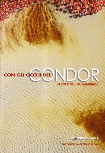 Con gli occhi del condor. In volo sul Sudamerica. Ediz. illustrata libro
