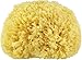 Premium Quality Natural Sea Sponge (Approx. Diameter 14.5cm)