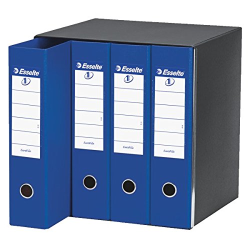 Esselte Polypropylene 390759050 Eurofile Groups of Recorders, Set of 4, Blue