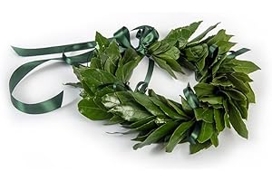 CORONEDILAUREA.COM Corona di laurea Royal con foglie di alloro fresco, qualità premium, made in Italy (Verde)