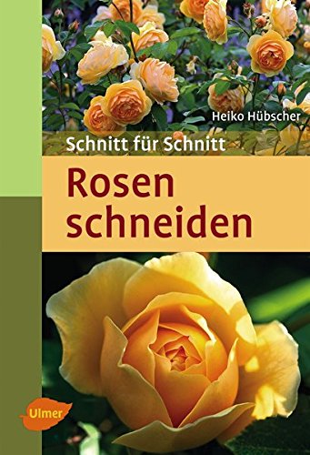 Download Rosen schneiden: Schnitt für Schnitt