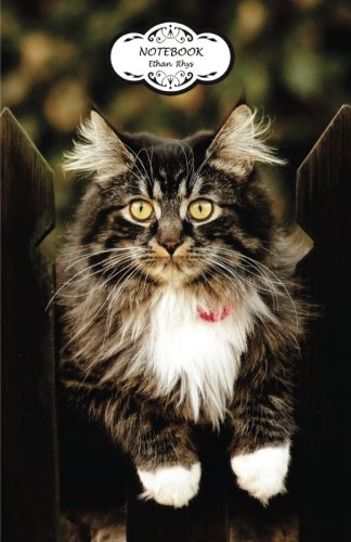 Preisvergleich Produktbild Notebook: Journal Dot-Grid,Graph,Lined,Blank No Lined : Cat at the fence : Small Pocket Notebook Journal Diary, 120 pages, 5.5" x 8.5" (Blank Notebook Journal)