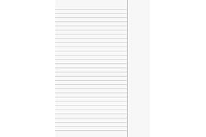 BRUNNEN Fountain 102142550 Office Paper/Clerical Sheet (A4, Lined with Border, ruling 25, 80 g/m², 50 Sheets, Shrink-Wrapped)