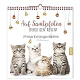 Image de Adventskalender »Auf Samtpfoten durch den Advent«: 24 neue Katzengeschichten