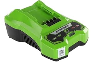 Ładowarka GREENWORKS 24V - G24C