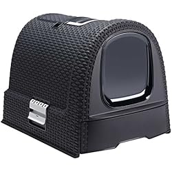 Curver 198.846 para Cat Aseo Casa