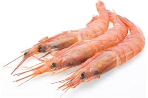 Gamba Blanca de Huelva - Pescadería Premium - 1 kg -Pescado y Marisco Fresco de Lonja (1 kg, Gamba Blanca)