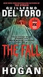 Image de The Fall