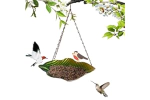CuiCanfla Comedero colgante para pájaros, comedero de metal para pájaros, comedero para pájaros, bebedero para pájaros con gancho y cadena para exteriores, jardín, patio, terraza