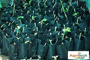 Dharti Enterprise Plastic Growing Bag, Black, 5 X 7 Inch, Small Size, 50 Pieces