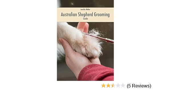 jual australian shepherd