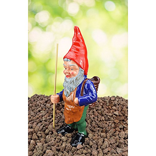Heissner Forest Garden Gnome the Collectible Gnome Pond Original Fried
