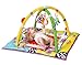 Taf Toys Kooky Gym Thickly Padded Play Gym