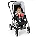 Cute Infant Babyplay Activity Spiral Bed Stroller Toy Set Hanging Bell Crib Rattle Toy - Little Bird