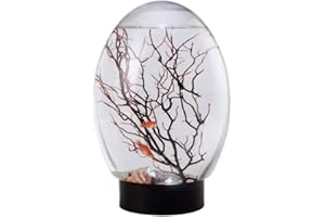 HEMORE Mini Aquariums, 19cm Small Ecological Fish Tank with LED Revolving Base, No Need to Change Water No Need to Feed Closed Aquatic Ecosphere for Home Office Decorative Ornament (Black)