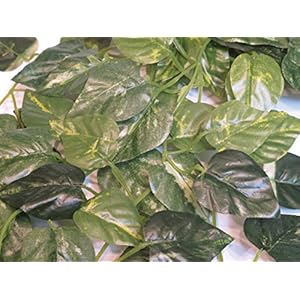 Namiba Terra 5914 Hängepflanze, Kleinblättrige Philoranke, Seide, circa 85-90 cm, grün/gelb geadert