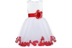 IEFIEL Pétales Fleur Robe Demoiselle d'honneur Bébé Enfant Filles Robe Cérémonie Princesse Noeud Papillon Dos Jupe 2-14 Ans