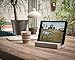 Produktbild WOOD U Style - Halterung für iPad und Tablets aus Beton mit schöner Holzleiste (Birke)
