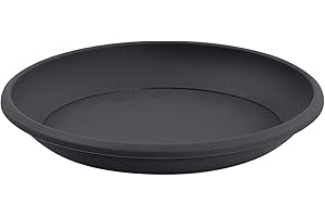 EDA - SOUCOUPE CANCUN 38 CM - R018145 G.ANT