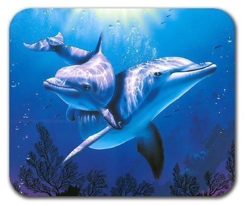 Delfin Unterwasser Ocean Sea Blau Aquarium Hope Mauspad Maus Pad Matte Mousepad Mauspad Mauspad