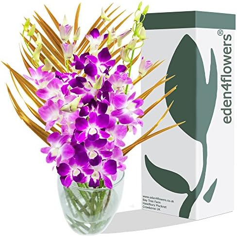 CHRISTMAS DENDROBIUM ORCHIDS BOUQUET - Christmas Flowers &amp; Bouquets by Eden4flowers