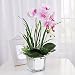 Produktbild DSAAA Künstliche Blume Glas Töpfe Der Orchideen Set Home Deko Kunstblumen Gesteck ,Rosa