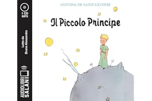 Il Piccolo Principe letto da Bruno Alessandro. Audiolibro. CD Audio formato MP3