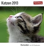 Katzen 2013: Sehnsuchts-Kalender. 53 heraustrennbare Farbpostkarten by
