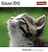 Katzen 2013: Sehnsuchts-Kalender. 53 heraustrennbare Farbpostkarten by