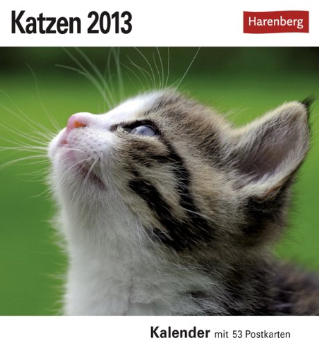 Katzen 2013: Sehnsuchts-Kalender. 53 heraustrennbare Farbpostkarten