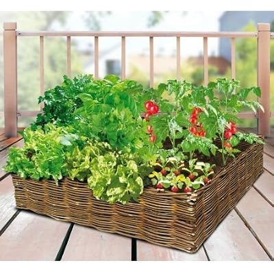 Caillard Carré potager en osier 60 cm x 60 cm