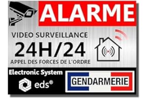 EGERO Stickers Alarme Vidéo Surveillance 24H/24 – Style Gendarmerie - Lot de 8 Autocollants Dissuasion Effet Métal | Sécurité Maison, Garage, Commerce, Fenêtres & Portes | Résistant UV & Pluie