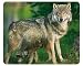 Produktbild "WOLF - MAMA MIT JUNGTIER" (MOTIV 106) Tier-Mousepad + Postkarte: Qualitäts-Mauspad aus extrem reissfestem Spezialkautschuk mit stark haftender Unterseite für optimalen Halt - kompatibel für alle Maustypen